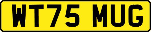 WT75MUG