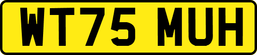 WT75MUH