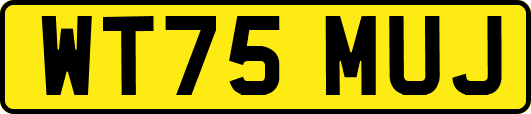WT75MUJ