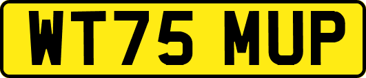 WT75MUP