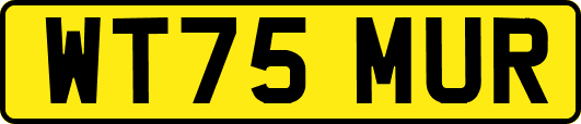 WT75MUR