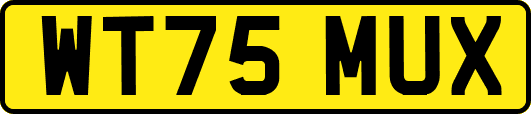 WT75MUX