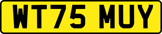 WT75MUY