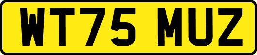 WT75MUZ