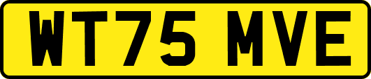 WT75MVE