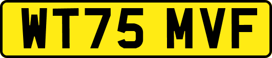 WT75MVF