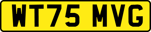 WT75MVG