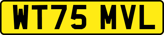 WT75MVL