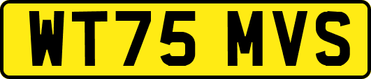WT75MVS