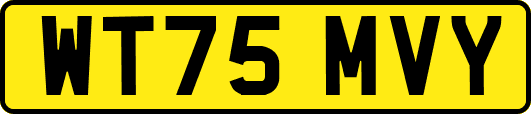 WT75MVY
