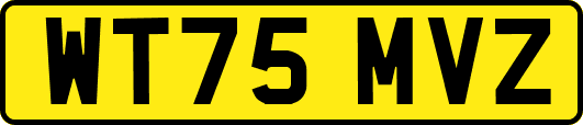 WT75MVZ