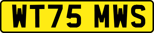 WT75MWS