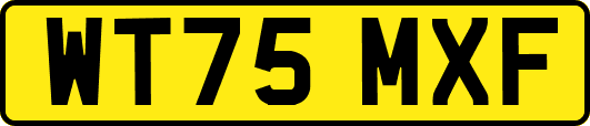 WT75MXF
