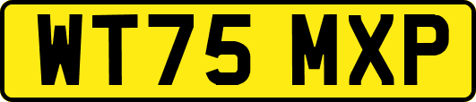 WT75MXP