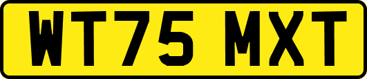 WT75MXT