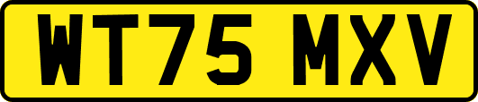 WT75MXV