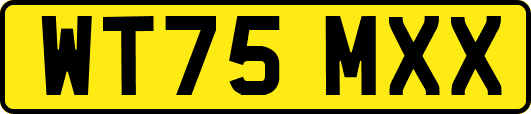 WT75MXX