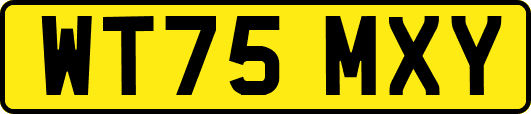 WT75MXY