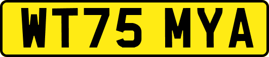 WT75MYA