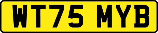 WT75MYB