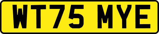 WT75MYE