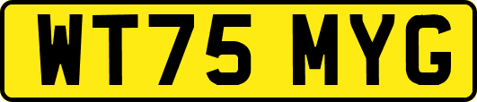 WT75MYG