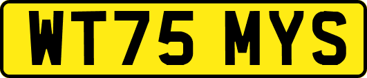 WT75MYS