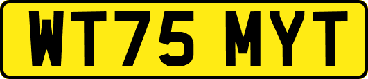 WT75MYT