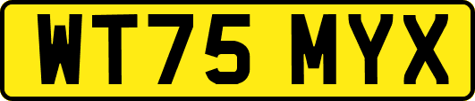 WT75MYX