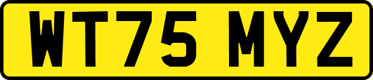 WT75MYZ