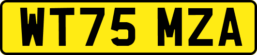 WT75MZA