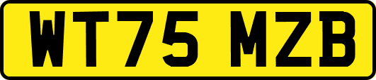 WT75MZB