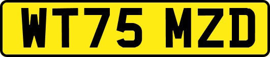 WT75MZD