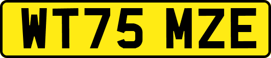 WT75MZE