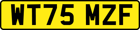 WT75MZF
