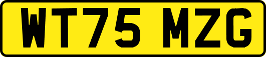 WT75MZG