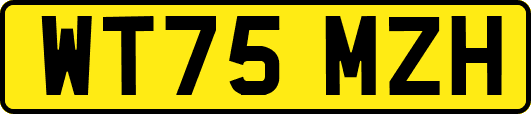 WT75MZH