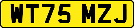 WT75MZJ