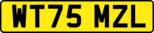 WT75MZL
