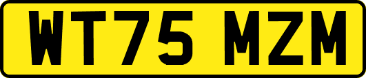WT75MZM