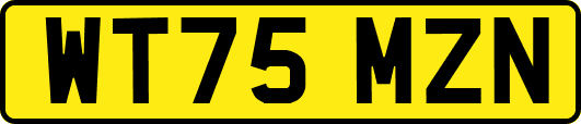 WT75MZN