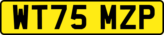 WT75MZP