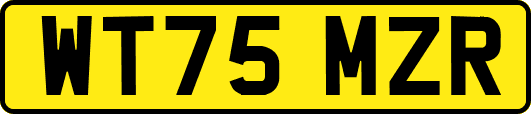 WT75MZR