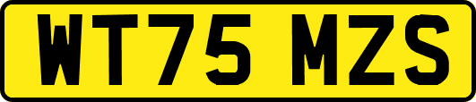 WT75MZS
