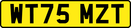 WT75MZT