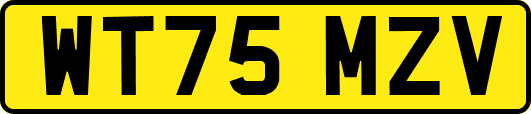 WT75MZV