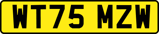 WT75MZW