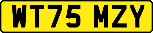 WT75MZY