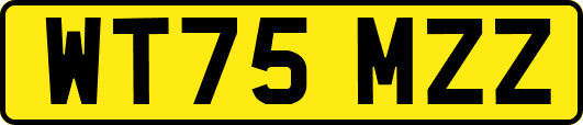 WT75MZZ