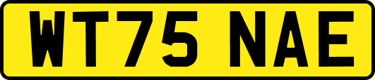 WT75NAE